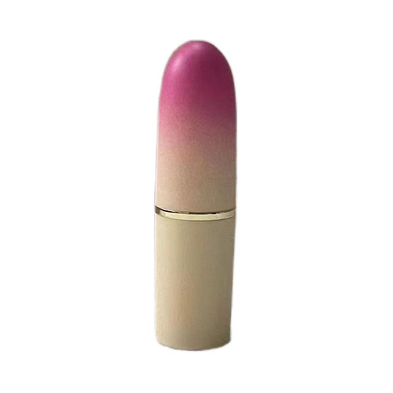 Bullet Shape Empty Lipstick Tubes Cosmetics Lip Makeup Luxury Plastics Lip Balm Tube