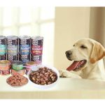 Varieties Wet Food Dog Treats Pet Canned Food