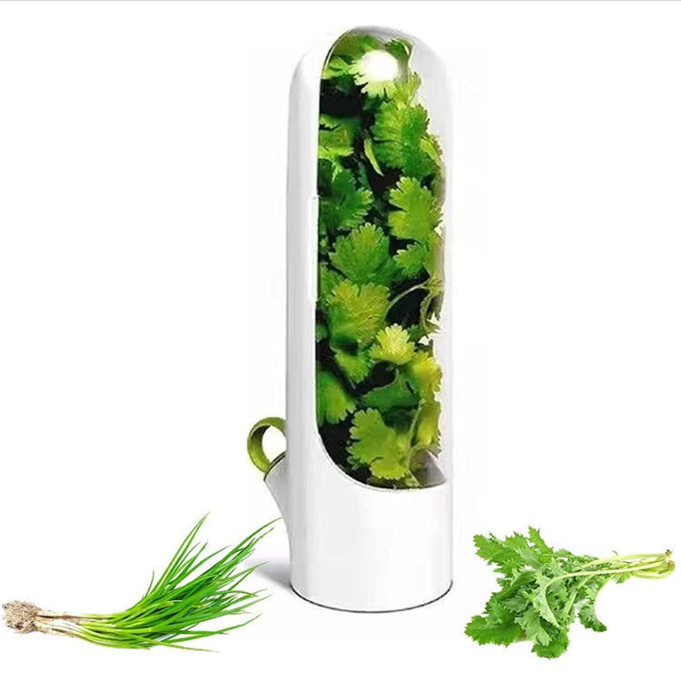 Vegetable storage Crisper The crisper Kitchen Food Storage Container Herb Keeper Kitchen Gadgets