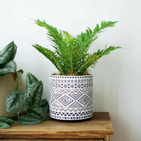 Ceramic Boho style flower plant pots Eco-friendly porcelain pots for plants Indoor outdoor Home Decor