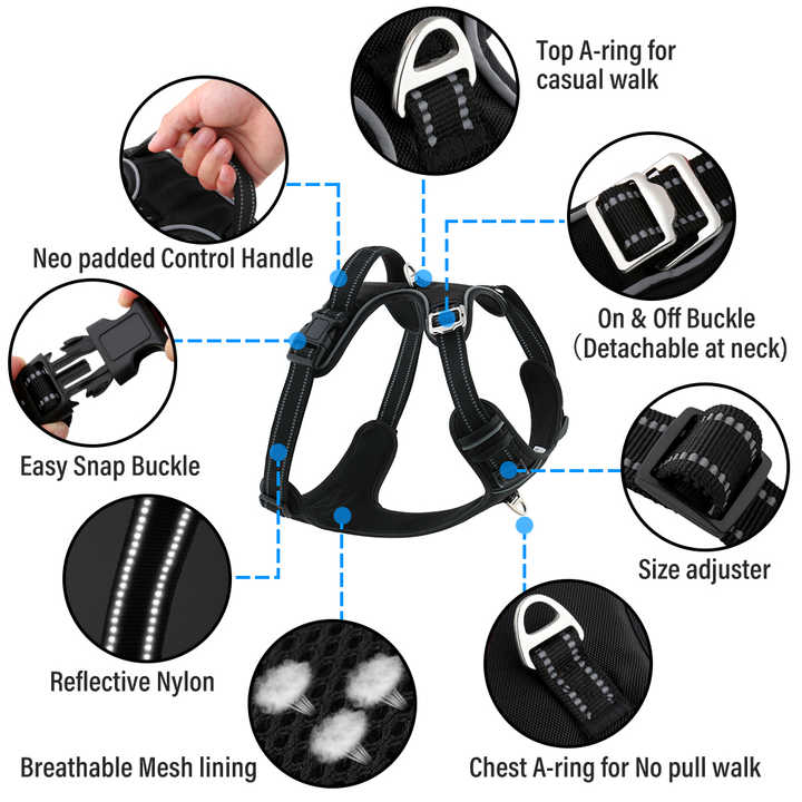 Manufactu Dog Harness Set Pechera Para Perro No Pull Dog Harness and Leash Set