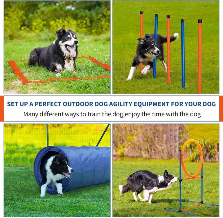 Dog Agility Jump Hurdle Equipment Pet Training Supplies for Canine Play Exercise