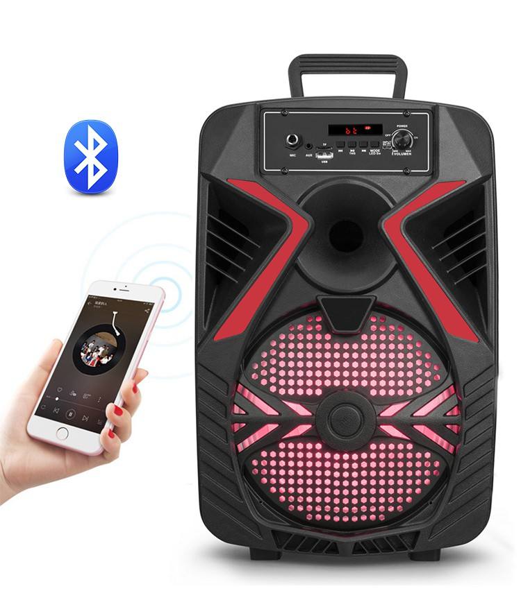 Wireless Large Karaoke Party Home Speaker Wireless Bluetooth Audio Speaker with microphone