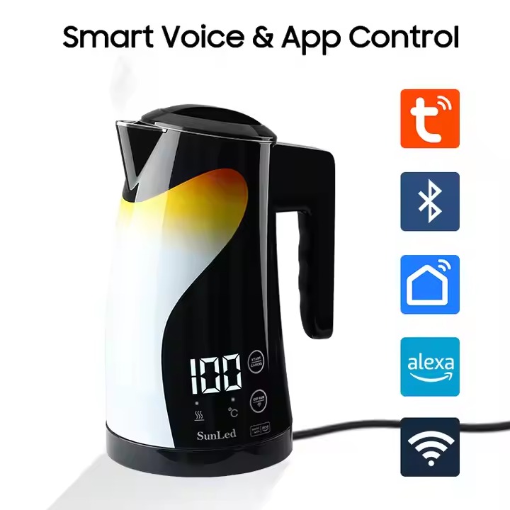 Digital Portable Electric Kettle With Temperature Control